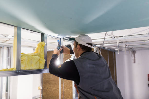 Best Insulation Installation Services in Lakewood, NY